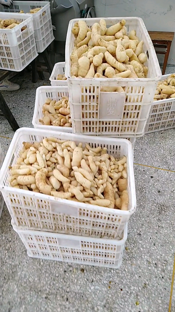 益陽瑪山產(chǎn)業(yè)機械有限公司，湖南益陽螺旋風管廠家，熱風食品烤房